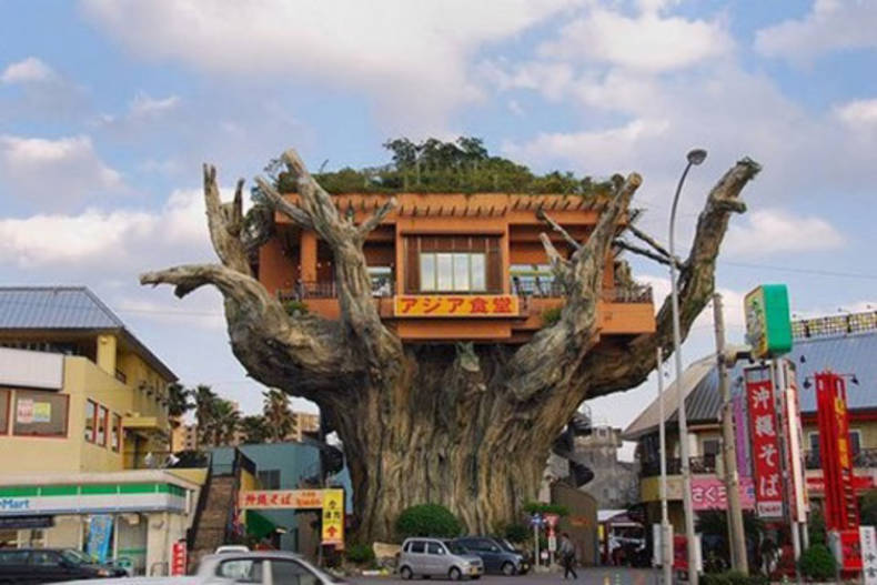 Audacious Japanese Treehouse Cafe