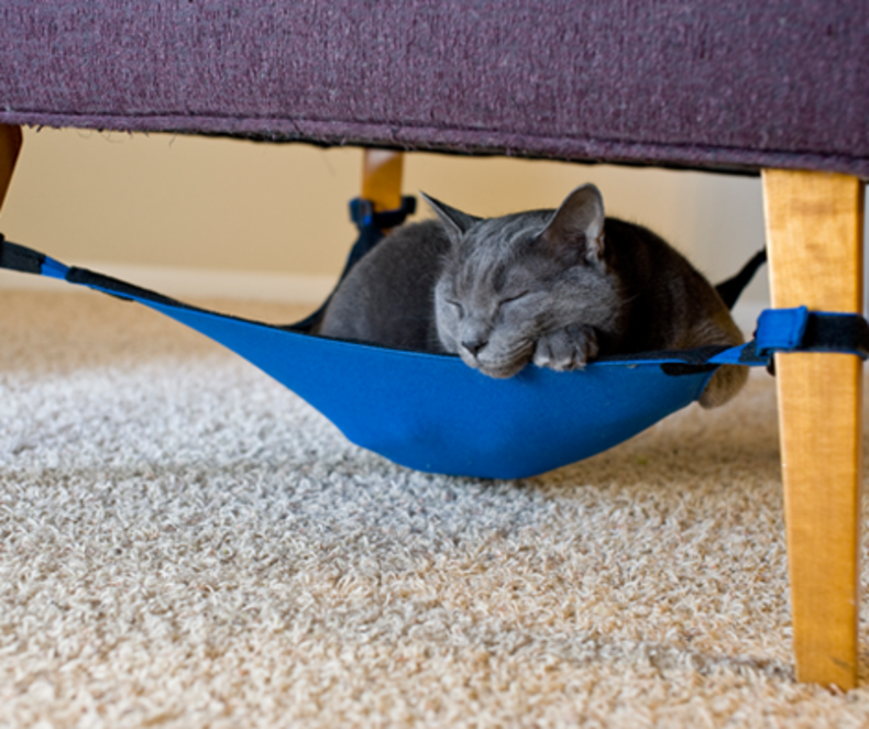 Cat Crib for Your Pets