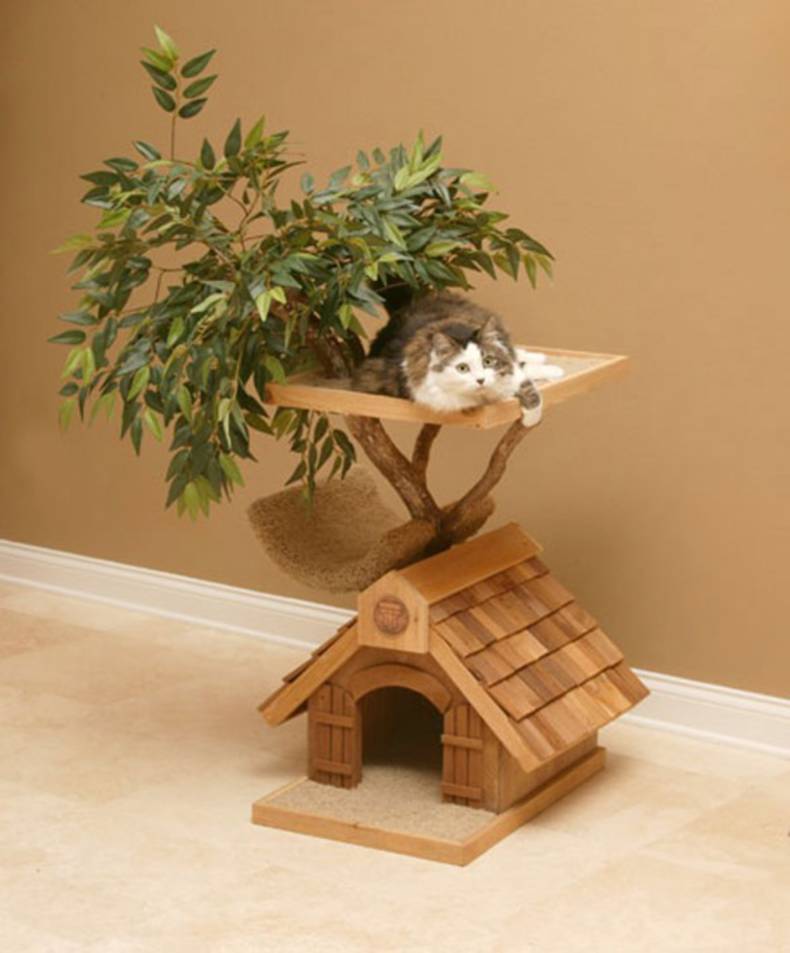 Place of Residence for Cats by Pet Tree House
