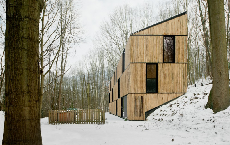 Effective Low Energy House of Ecological Bamboo Sticks